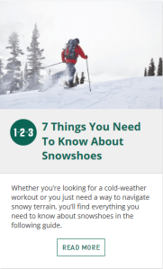 Snowshoe Image